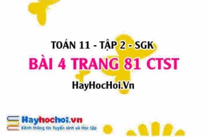 Bài 4 trang 81 Toán 11 tập 2 Chân trời sáng tạo